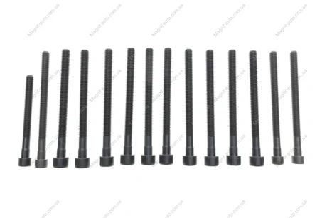 К-т болтів головки (з шліцем типу Torx) FEBI BILSTEIN 178284