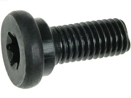 Болт з головкою системи TORX з чорного металу AS SRS3060S