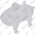 Original Birth - Розширювальний бачок системи охолодження BIRTH 81507 (фото 1)