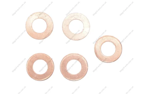 Шайба під форсунку Delphi 9001-850A-12B1