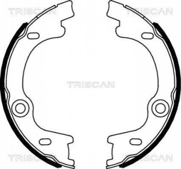 Комплект гальмівних колодок, стоянкове гальмо TRISCAN 810018010