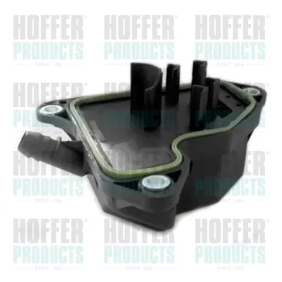 Фільтр очищення картерних газів Hoffer 8091630 (фото 1)