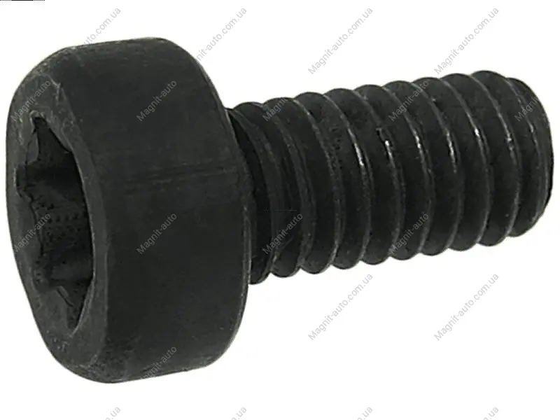 Болт з головкою системи TORX з чорного металу AS SP3022S(BULK) (фото 1)