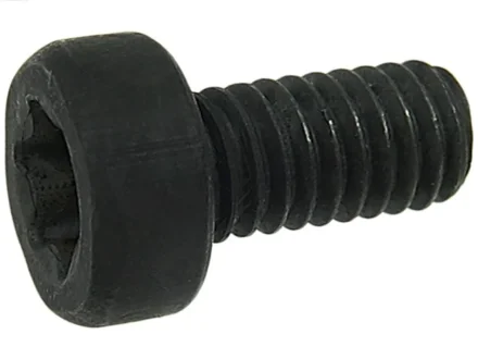 Болт з головкою системи TORX з чорного металу AS SP3022S(BULK)