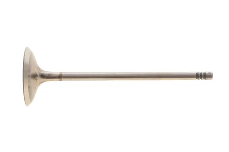 Клапан двигуна MAHLE / KNECHT 081 VE 31396 000