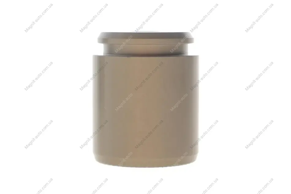 Поршень супорта зад. Tesla Model S 12-/Model X 15- (36x43mm)(Brembo) FRENKIT P364301 (фото 1)