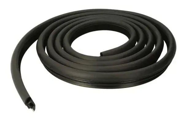 Ущільнення дверей передн Лів/Прав BMW X5 E53 05.00-12.06 BLIC 5703-04-0095501P (фото 1)