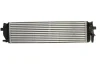 Інтеркулер VOLVO S60 III, S90 II, V60 I, V60 II, V90 II, XC60 II, XC90 II 2.0/2.0D/2.0H 09.14- THERMOTEC DAV013TT (фото 2)