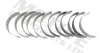 Вкладиші шатунні, комплект (STD) CITROEN C5 III, C6 JAGUAR F-PACE, XF I, XF II, XF SPORTBRAKE, XJ LAND ROVER DISCOVERY III, DISCOVERY IV, DISCOVERY V, RANGE ROVER III 2.7D/3.0D/3.0DH 03.02- Motive B5368STD (фото 2)