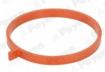 Прокладка, впускний колектор RENAULT 0,9 TCe H4B (вир-во) Payen JD6186