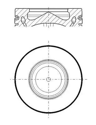 Поршень MAHLE / KNECHT 081 PI 00119 000 (фото 1)