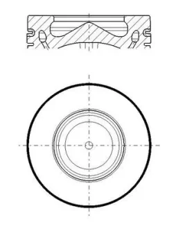 Поршень MAHLE / KNECHT 081 PI 00119 000
