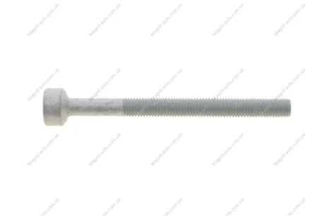 Болт паливної форсунки (з внутрішнім шліцем Torx) Rotweiss RWS3874