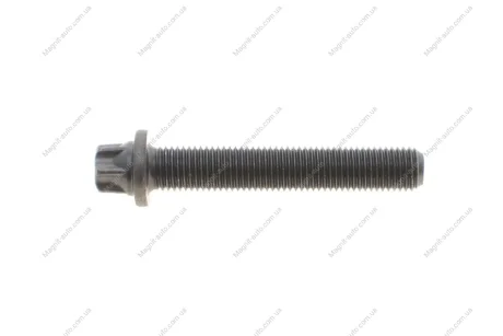 Болт шатуна(з шліцем типу Torx) Rotweiss RWS3911