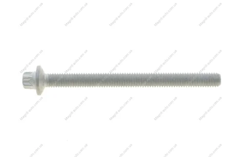 Болт Torx Rotweiss RWS3876