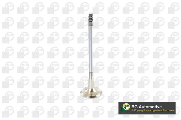 Клапан випуск BMW 1 (E81/E87)/3 (E90/E91/E92)/5 (E60/E61) 2.0 06-13 BGA V090101 (фото 1)