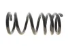 Пружина підвіски Solgy 212162 (фото 1)