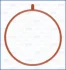 Miscellaneous gasket AJUSA 01513300 (фото 1)