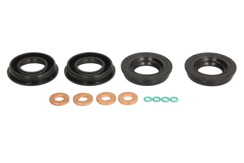 Набір ущільнень PIEZO PUMA C SIEMENS/VDO AUDI A1, A3 CITROEN JUMPER II FIAT DUCATO FORD RANGER, TRANSIT, TRANSIT CUSTOM V362, TRANSIT TOURNEO, TRANSIT V363 1.2-3.2D 04.06- ENGITECH ENT250512 (фото 1)