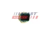 - ДАТЧИК ТЕМПЕРАТУРИ ВОДИ FIAT DOBLO 09> 1.3 JTD 2-PIN FAST FT80153 (фото 3)