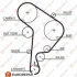EUROREPAR Ремінь зубчастий Z=141 AUDI A3 1,9TDI 96-01 VW 1,9TDI/SDI: Golf IV, Polo SKODA SEAT Eurorepar 1633129480 (фото 1)