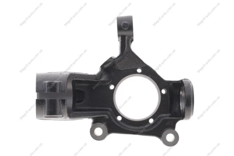 Кулак поворотний Dp SS 2123-R