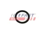 Прокладка Клапану Egr FIAT Ducato 14- 2.0 Jtd FAST FT50601 (фото 1)
