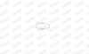 FISCHER NISSAN кільце глушника (заднє) HONDA, SUBARU MAZDA 121 -96 Almera 95-, Primera -02, Sunny -00, Vanette 93- WALKER 81162 (фото 1)