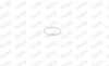 FISCHER NISSAN кільце глушника (заднє) HONDA, SUBARU MAZDA 121 -96 Almera 95-, Primera -02, Sunny -00, Vanette 93- WALKER 81162 (фото 6)