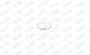 FISCHER NISSAN кільце глушника (заднє) HONDA, SUBARU MAZDA 121 -96 Almera 95-, Primera -02, Sunny -00, Vanette 93- WALKER 81162 (фото 7)