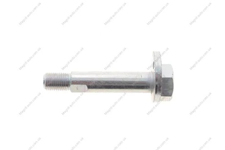 Болт з ексцентриком Solgy 204212