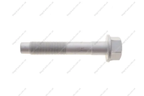 Болт з ексцентриком Solgy 204218