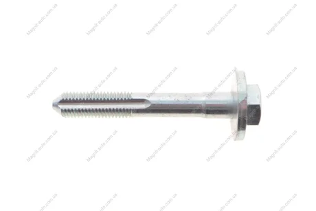 Болт з ексцентриком Solgy 204190