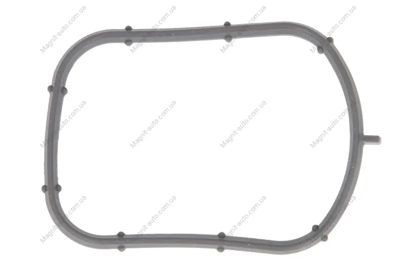 Прокладка впускного колектора CHRYSLER 300C, ASPEN DODGE CHARGER, DURANGO, MAGNUM, RAM 1500, RAM 2500, RAM 3500 JEEP COMMANDER, GRAND CHEROKEE III 5.7 06.01-12.10 ELRING 907.470 (фото 1)