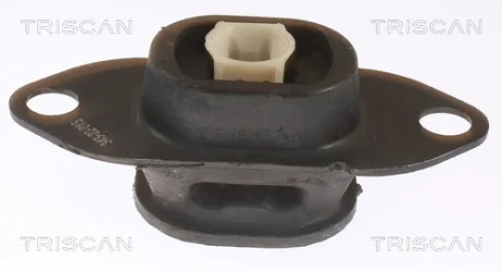 RENAULT Опора двигуна TRISCAN 8505 25116