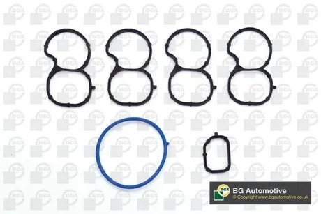 Прокладка колектора впуск (к-кт) Doblo/Ducato/Combo 1.6/2.0 MJET/CDTI 10- BGA MG0202K