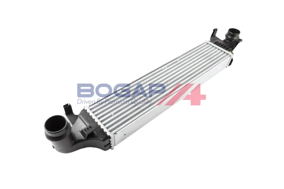 Вугільний фільтр, система продування бака Bogap C4220139 (фото 1)