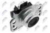 Подушка двигуна Renault Kangoo 1.4/1.6 (97->) права R NTY ZPS-RE-025 (фото 1)